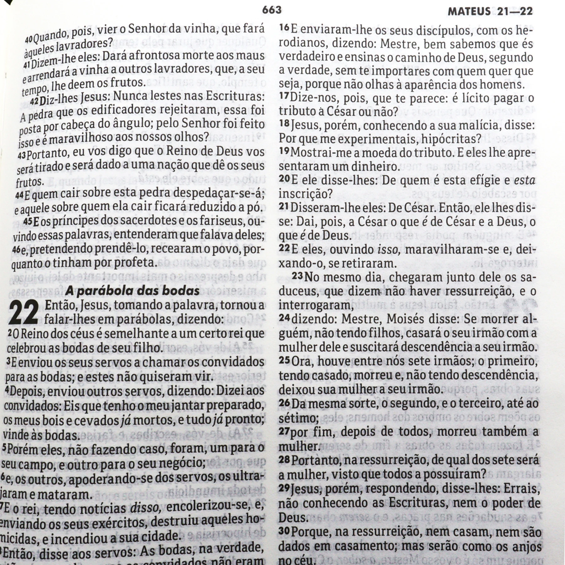 الكتاب المقدس للتبشير ، قوس الميدا ، غطاء أسود ، مجلة مصححة #5