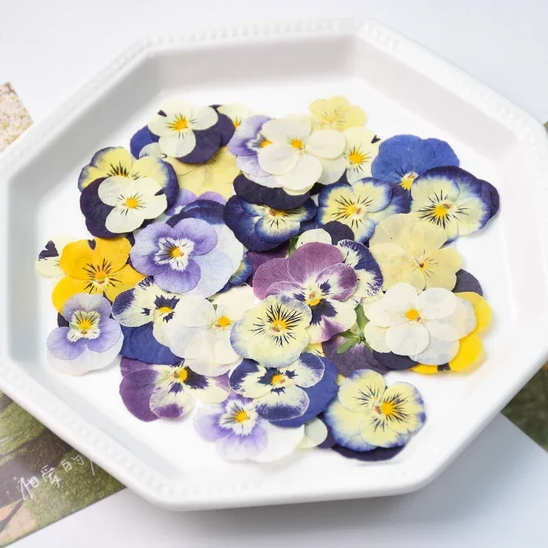 50PCS/2-4cm,Pressed Pansy Flower Petal,DIY Decorative Flower Material for Wedding Gift Card Photo Frame Phone Case Face Makeup