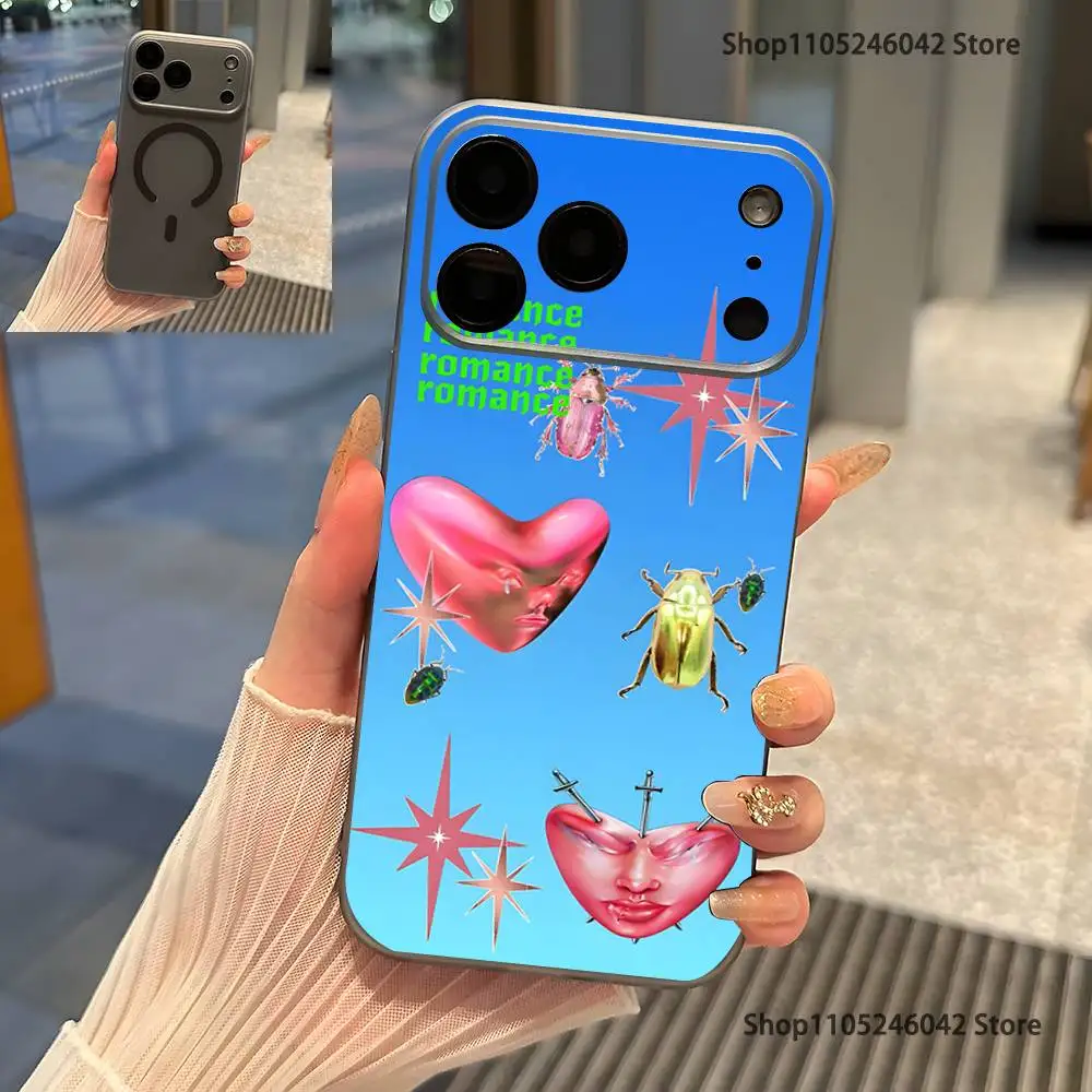 Fontaines DC Romance For iPhone 17,16,15,14,13,12,11,Pro,Max,Plus Transparent gray Phone Case Magnetic Wireless Charging