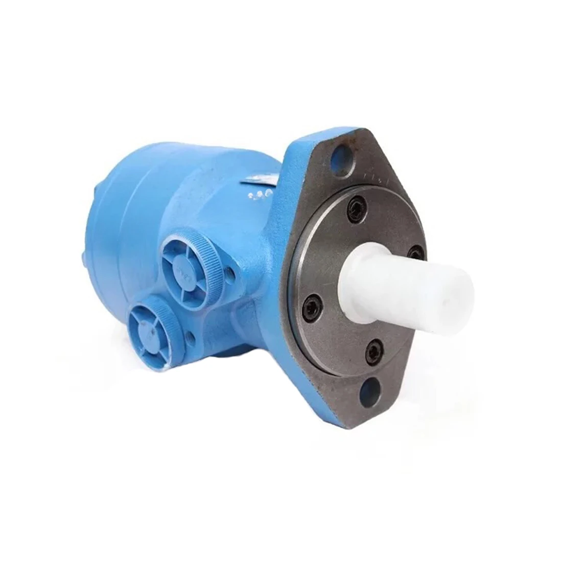 Hydraulic motor BM1-50/80/100/125/160/200/250/315/400/500