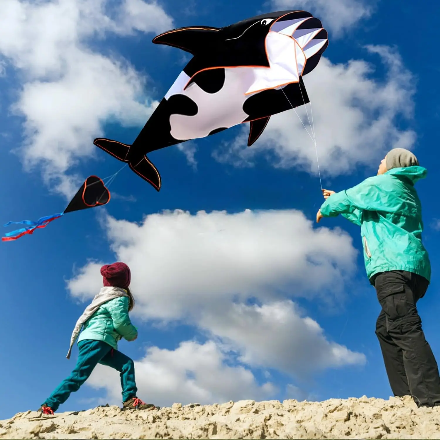 New Arrive  Outdoor Fun Sports Single Line 57Inch Black Software Whale/ Dolphin Kite / Animal Kites With 14cm Wheel Good Flying