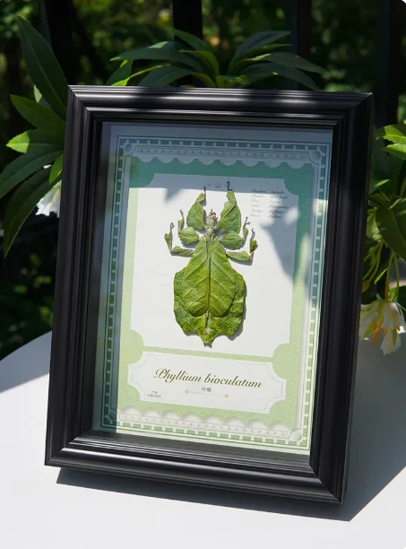 Bamboo Knot Insect Cicada Spiders Scorpions Locusts Centipedes Hornets Bees Butterfly Decoration Real Animal Insect Specimens