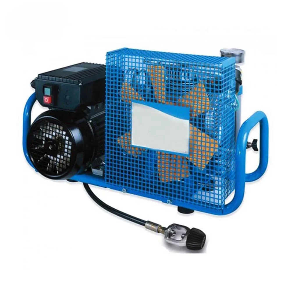 Air Breathing Compressors Mini Compressor 220v/380v Portable Electric Air Breathing Compressor