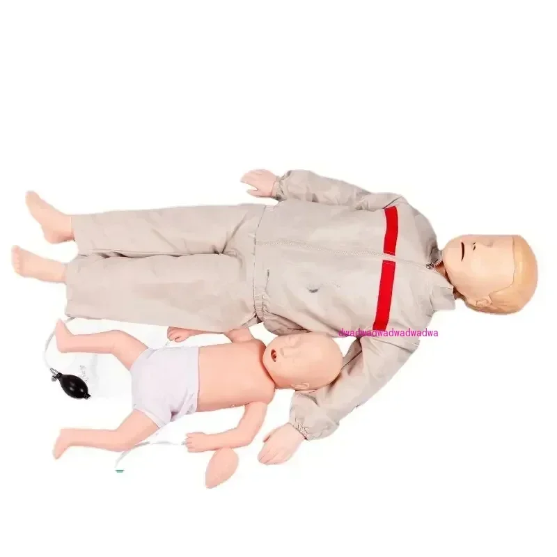 Advanced Neonatal and Child Cardiopulmonary Resuscitation Simulation of Human Infant Infarction Airways