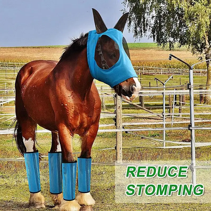 Horse Boots Leg Wraps Horse Fly Boots Leg Wraps Solid Support Horses Protection Tool สําหรับการแข่งขันการฟื้นฟูสมรรถภาพและการฝึกอบรม