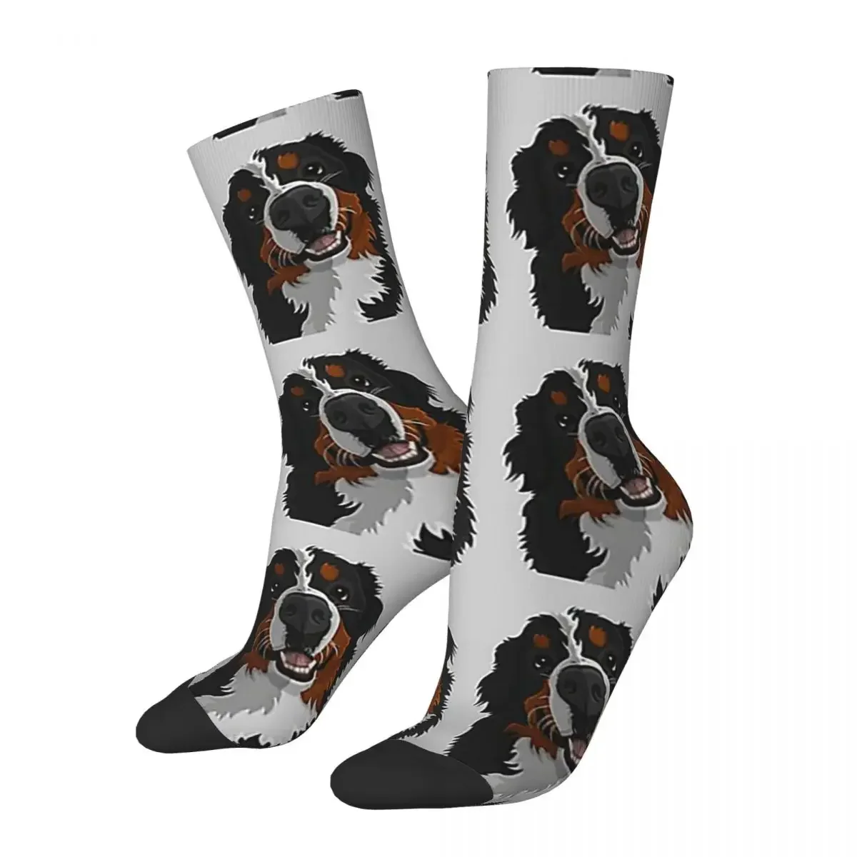 Bernese Mountain Dog Socks Harajuku Super Soft Stockings All Season Long Socks Accessories for Man's Woman's Gifts