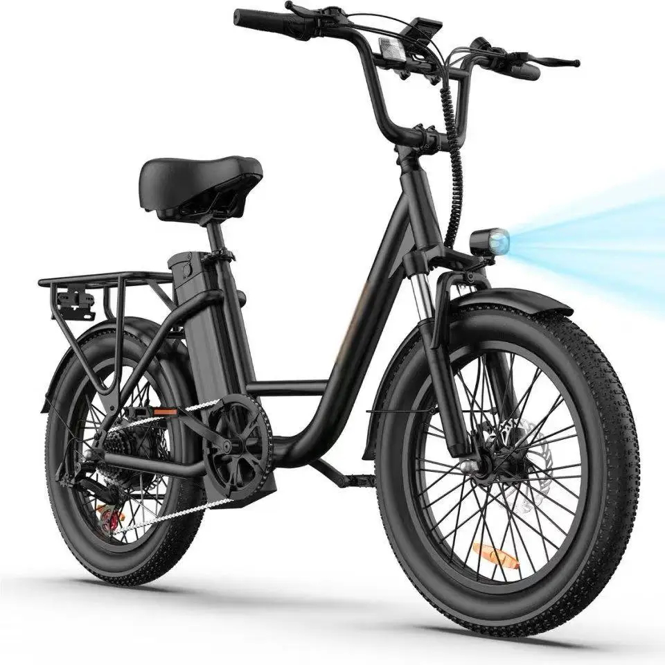 AliExpress URLIFE E20 E-Bike 250W Powerful Motor 48V13AH Removable Lithium Battery Adult Electric Bike 20*3.0 Inch Fat Tire Mountain E-Bike