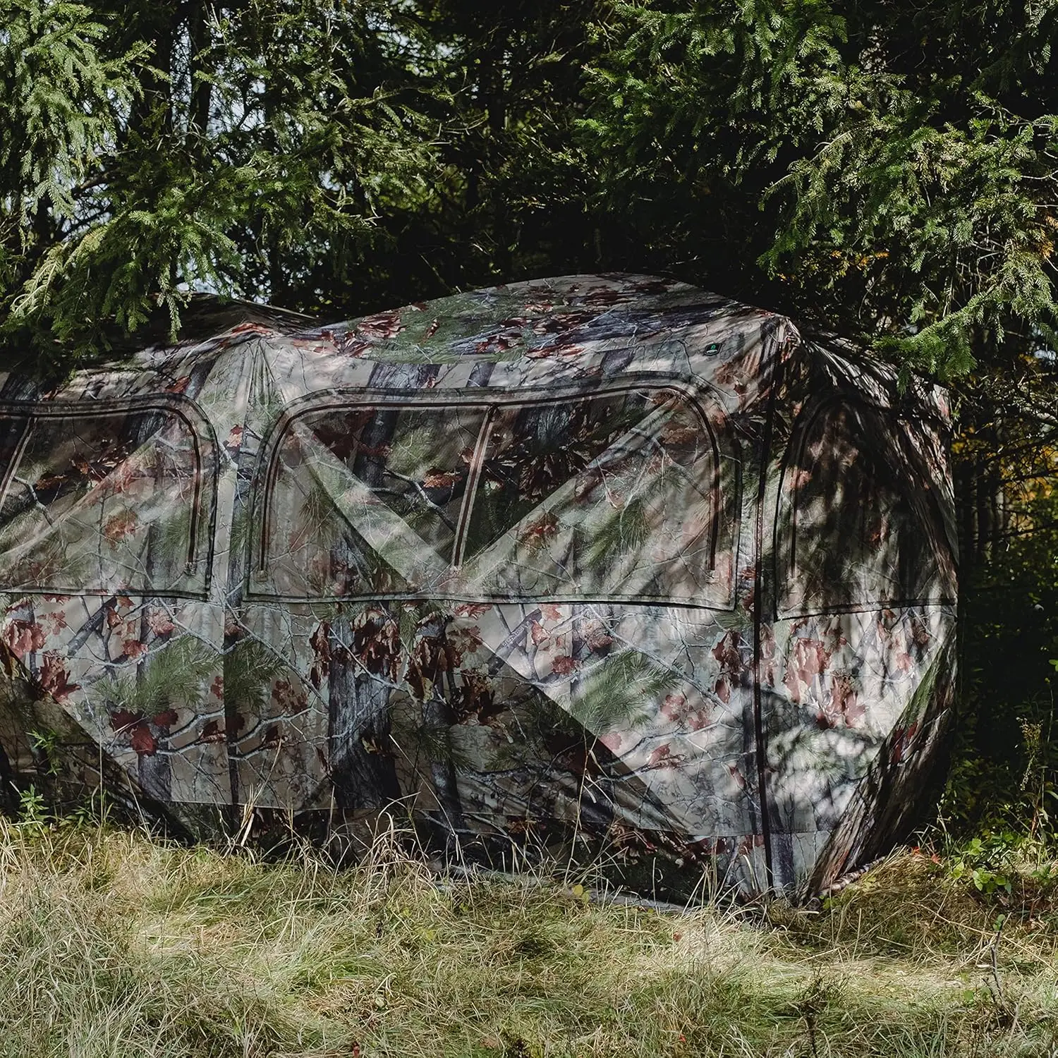 Blinds Big Cat Pop Up Portable Hunting Blind