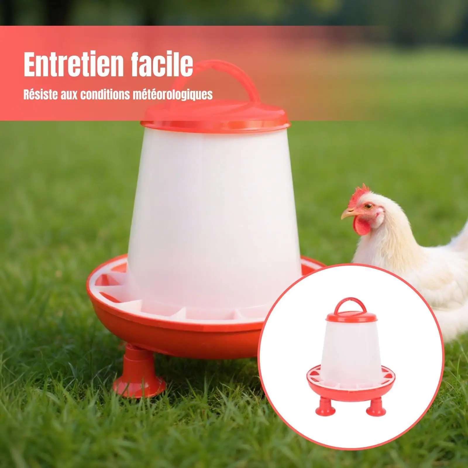 Comedero automático duradero para gallinas, pollos y palomas