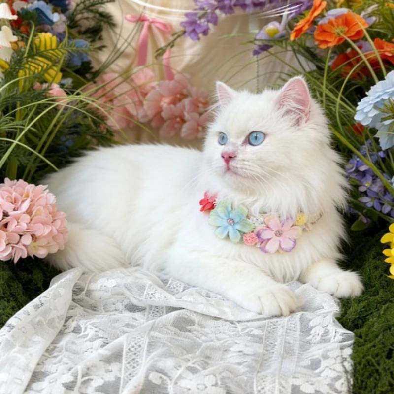ゴージャスなカラフルな花のペットの首輪猫ネックレス調節可能な - Photography Basic のレビューと価格