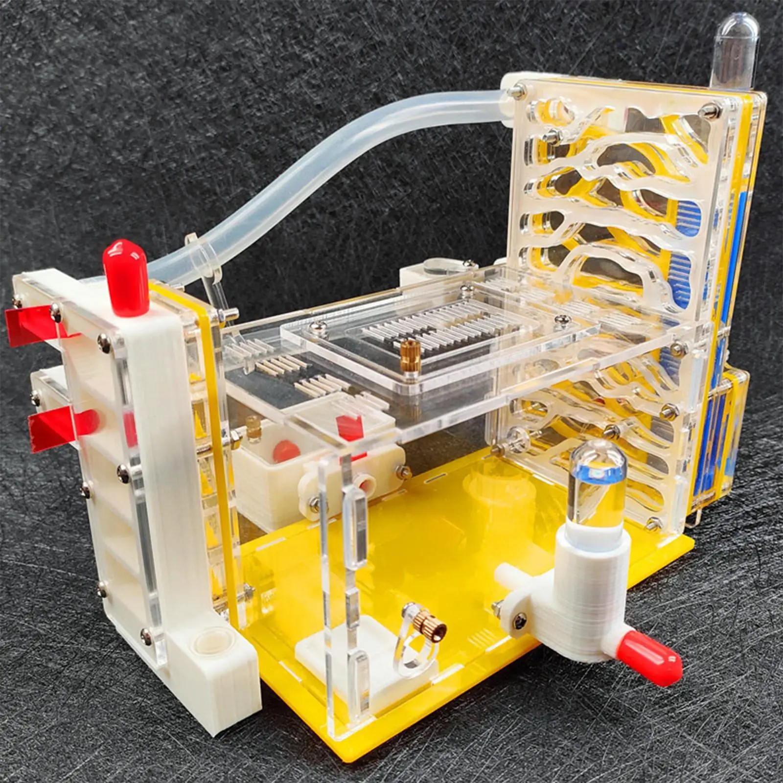 

DIY ANT Farm Castle Educational Science Kit Anthill Pet Workshop ANT House Villa Acrylic ANT Nest for School Home Kids Students