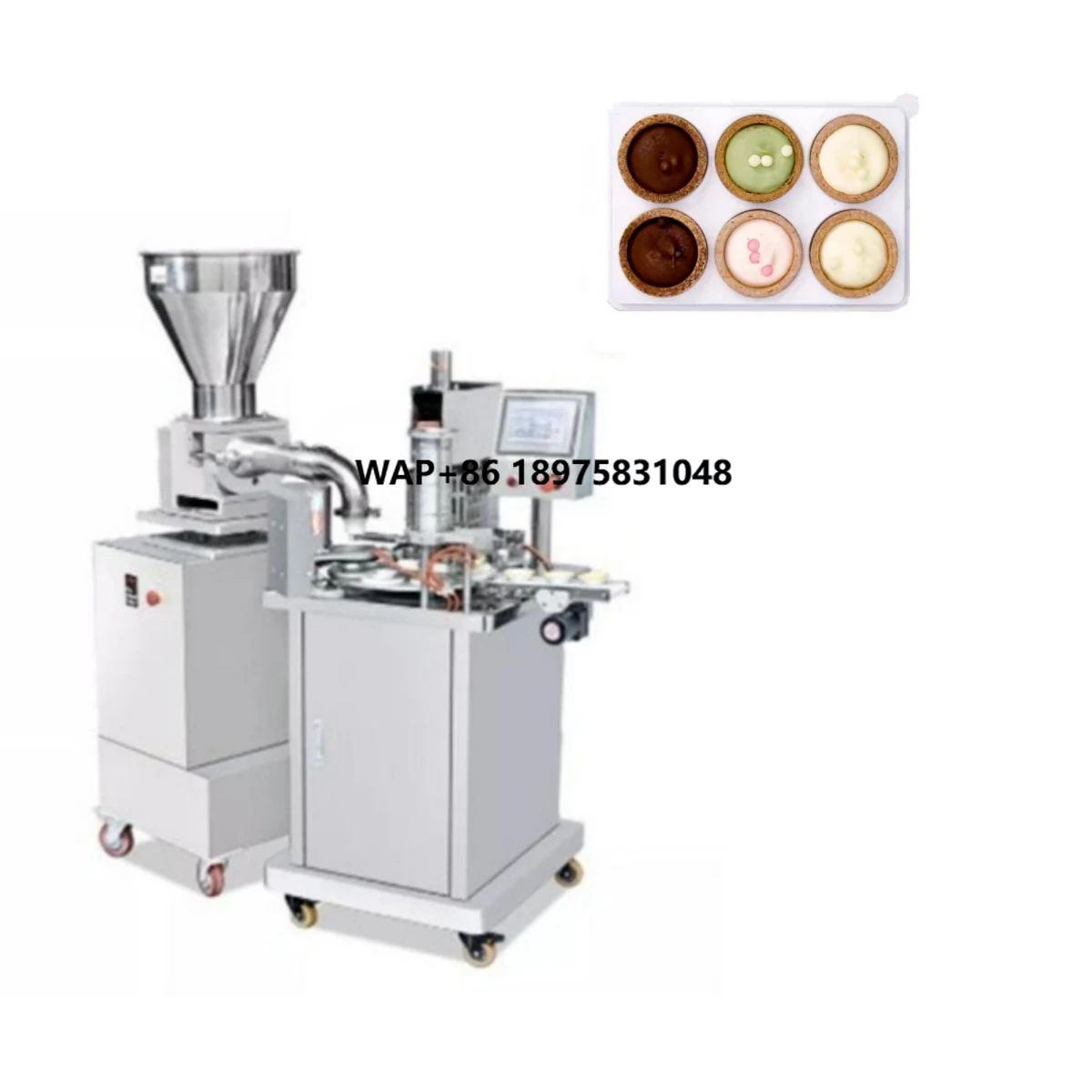 Best-selling cookie crust production line for mass production and efficient operation