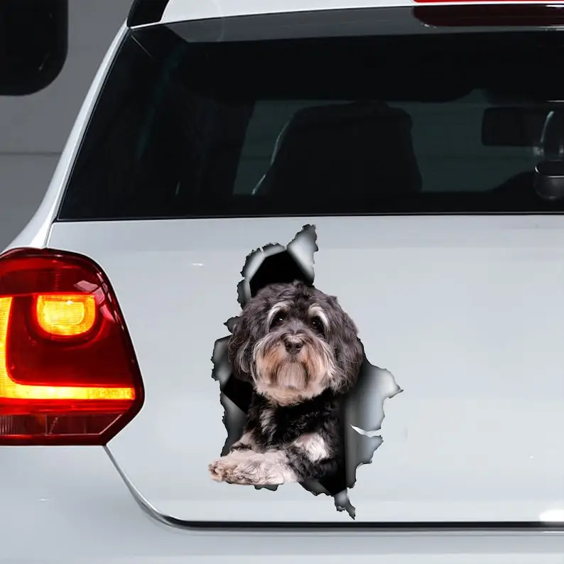 Havanese decal , Bichon Havanese magnet, Bichon Havanese sticker, car decal