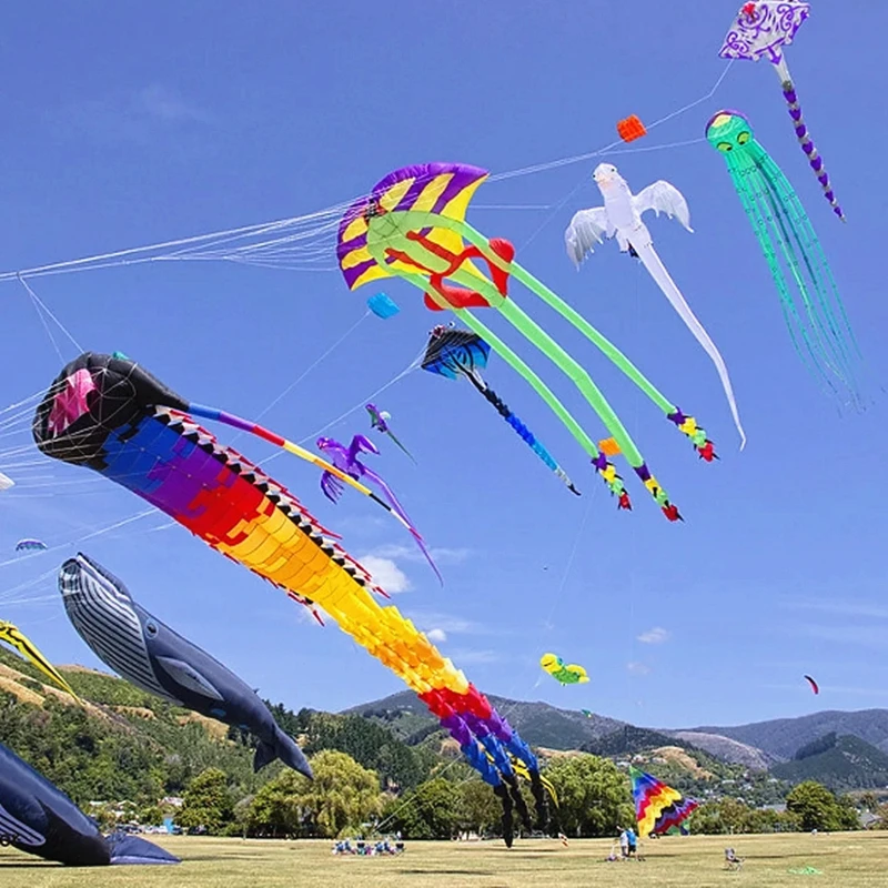 35 M ขนาดใหญ่โบราณ Trilobites Kite บินของเล่นกลางแจ้ง Professional Kite Factory Soft Kite สําหรับผู้ใหญ่ Flying Wing เต็นท์พอง
