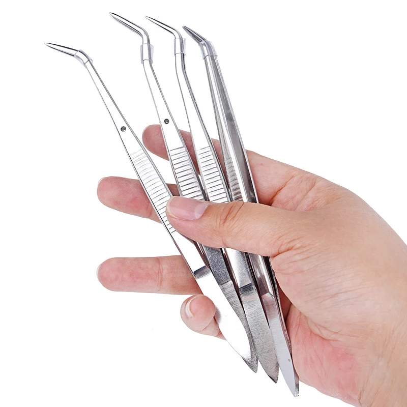 1pc pinceta dentystyczna ze stali nierdzewnej z pozycjonowaniem prostych zakrzywiona pinceta szczypców pielęgnacja jamy ustnej narzędzia do badania zębów
