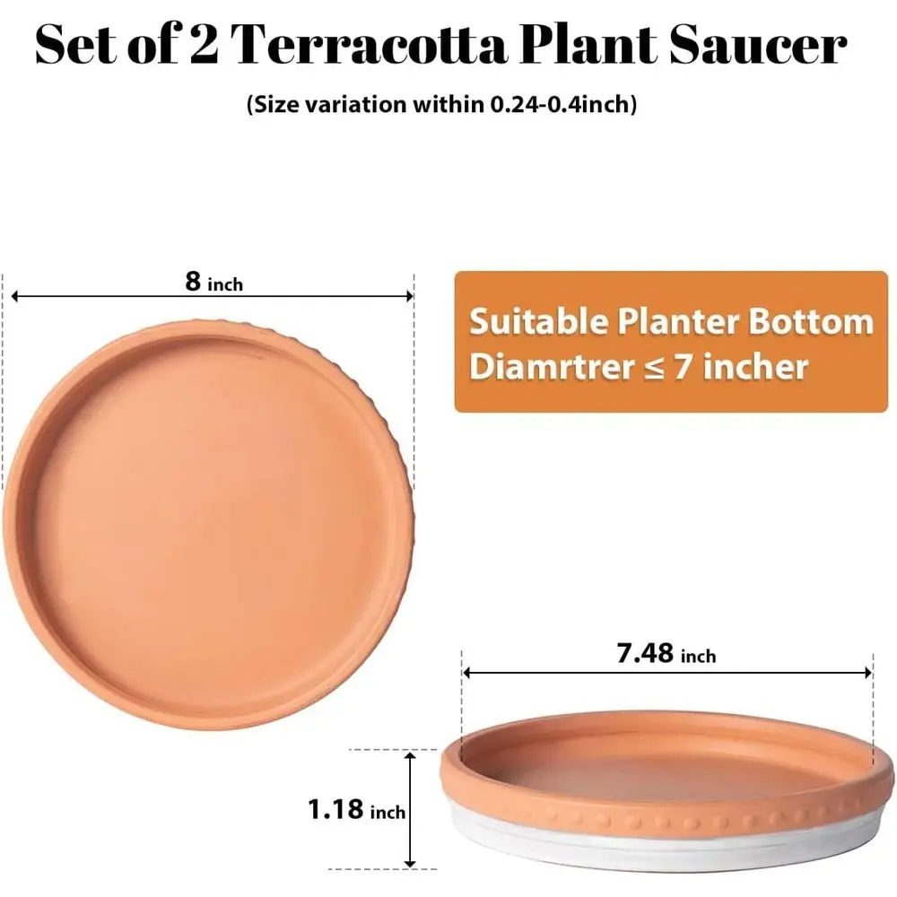 8-inch Round Terracotta Plant Saucer, Premium Quality, Set of 2 (White/Terracotta)