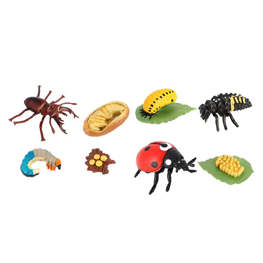 4Pcs Life Cycle of / , Kids Educational Toy Classroom Teaching Aids - Includes Egg, Larva, , and Butterfly