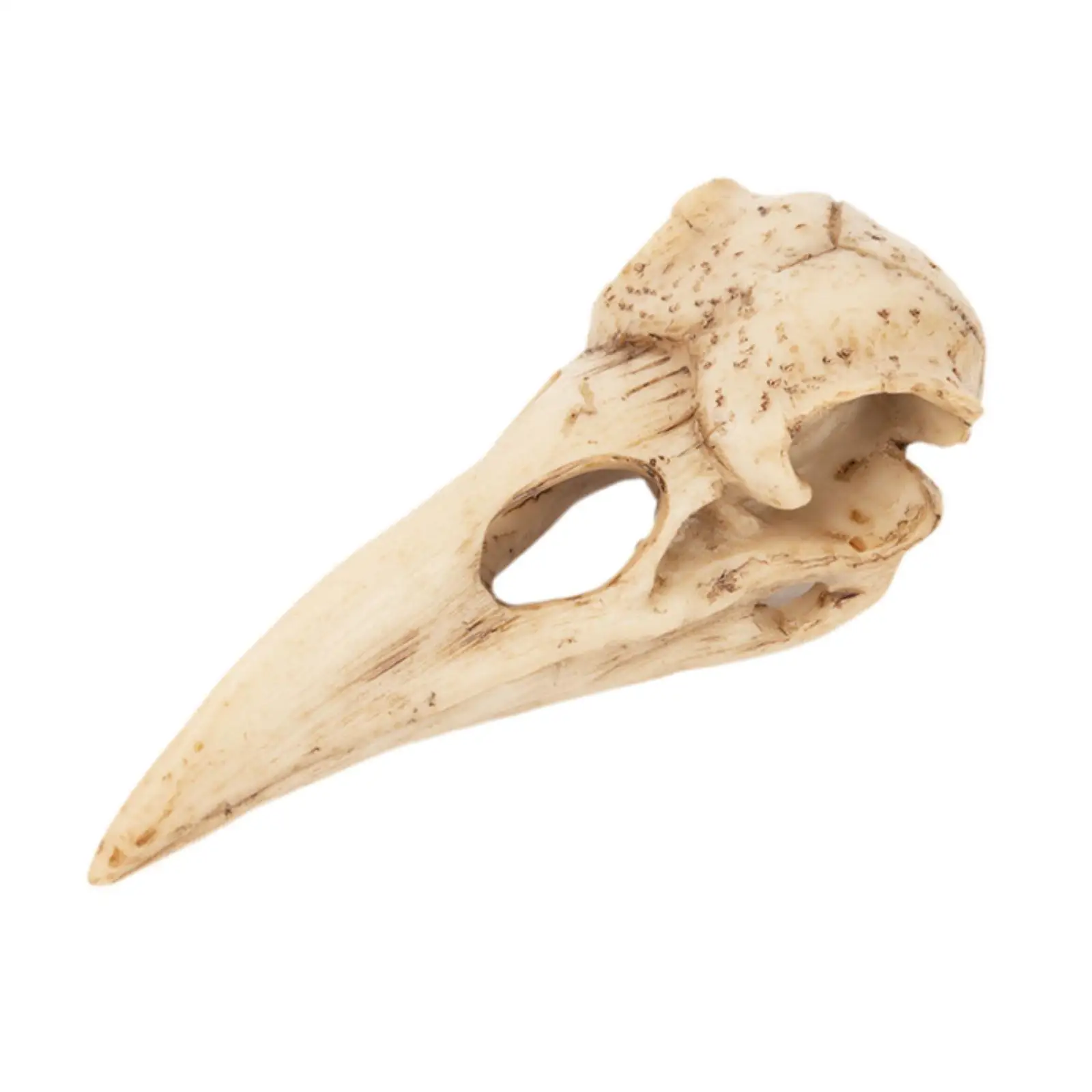 Raven Skull Statue,Hanging Wall Sculpture Resin Figurine Skull Pendant for Cosplay Costume Accessories Headpiece Home