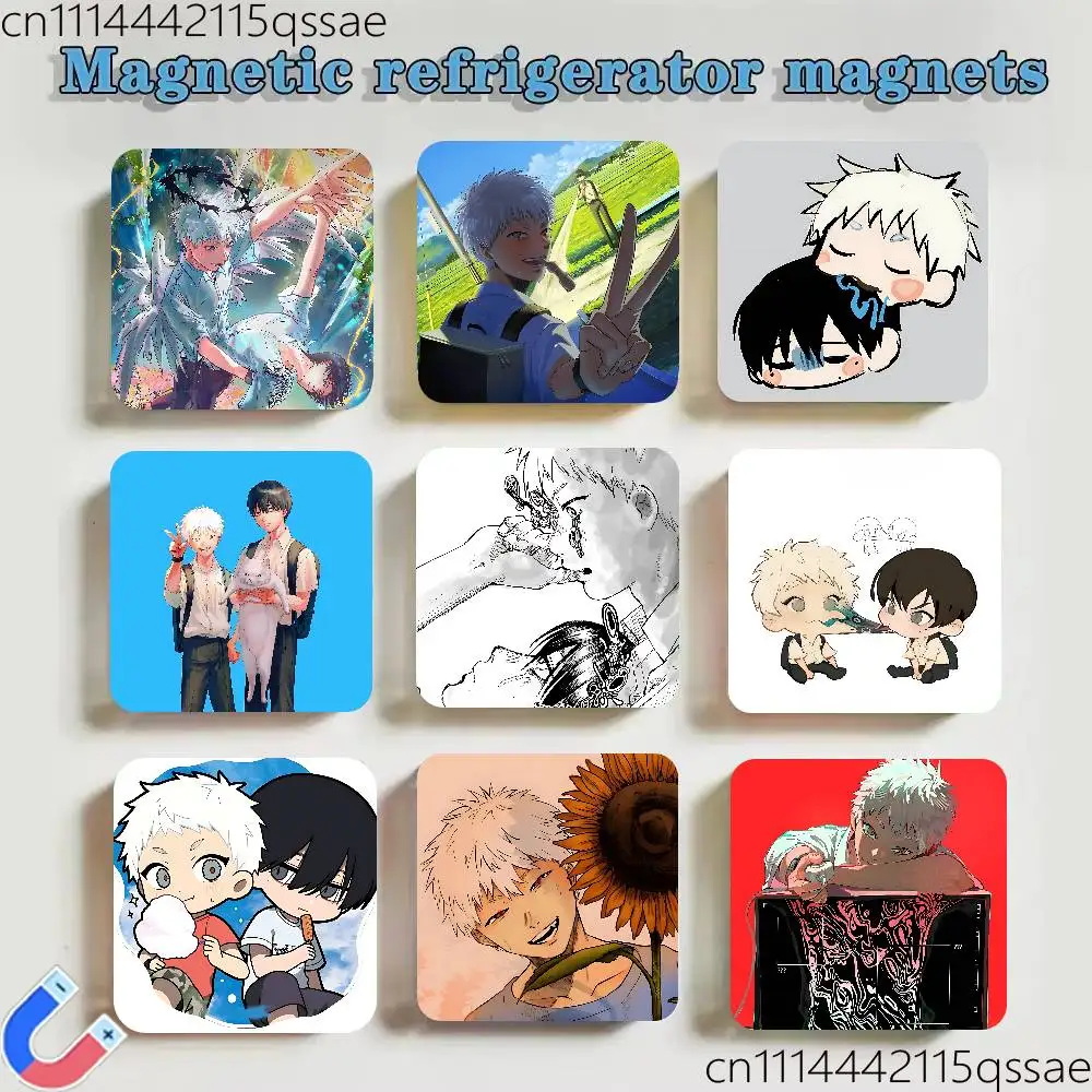 The S-Summer H-Hikaru Died Refrigerator Magnet Magnetic Ins Style Home Decoration Creativity Gift