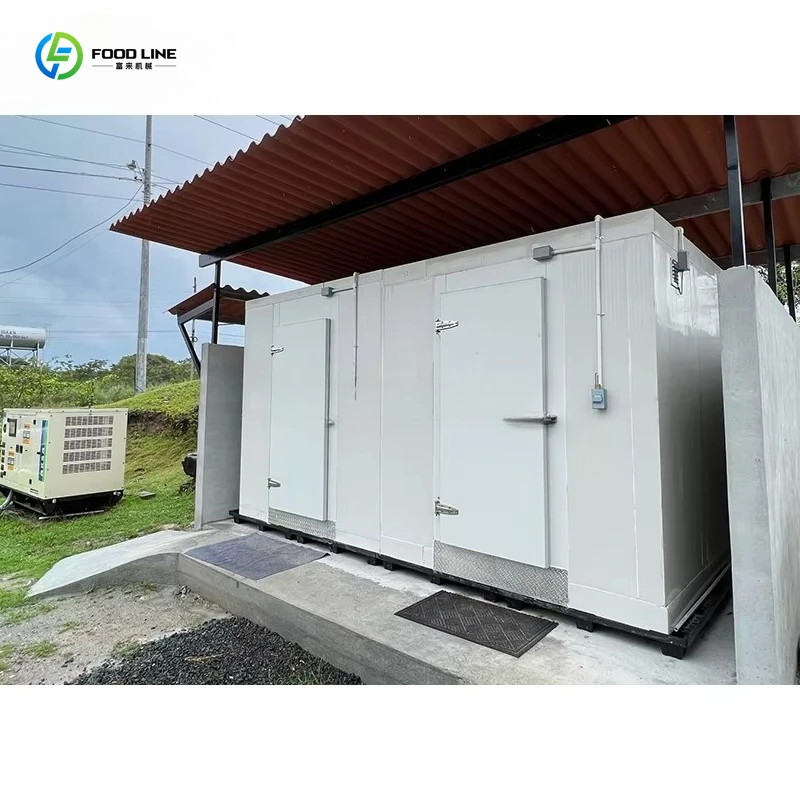 Customized 20-Foot Solar Cold Storage Freezer Combination Walk-in Freezer