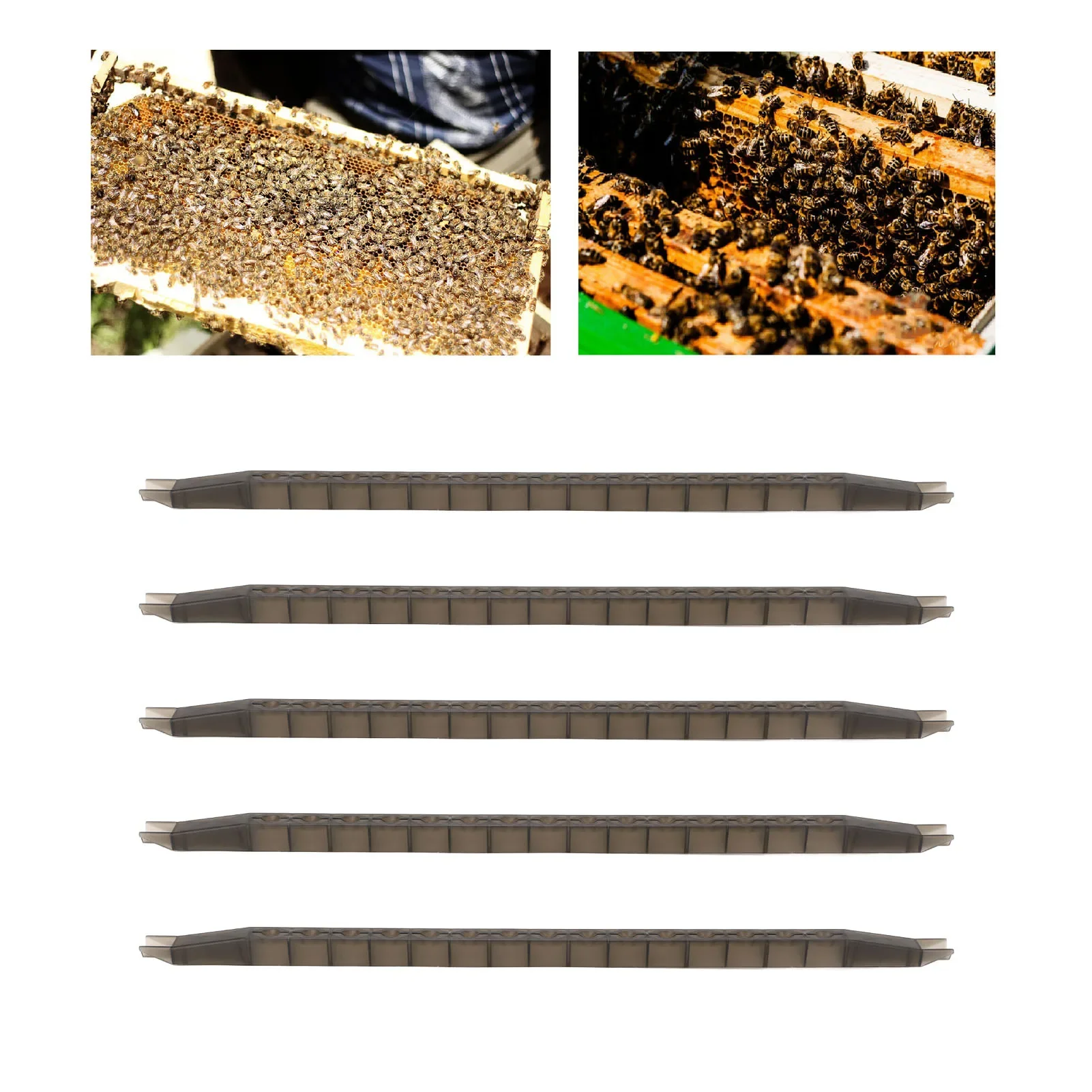 5Pcs Queen Bee Cell Cup Bar Kit With Frame 15 Holes Plastic Rearing Cage Box Beekeeping Equipments Cultivating Tools