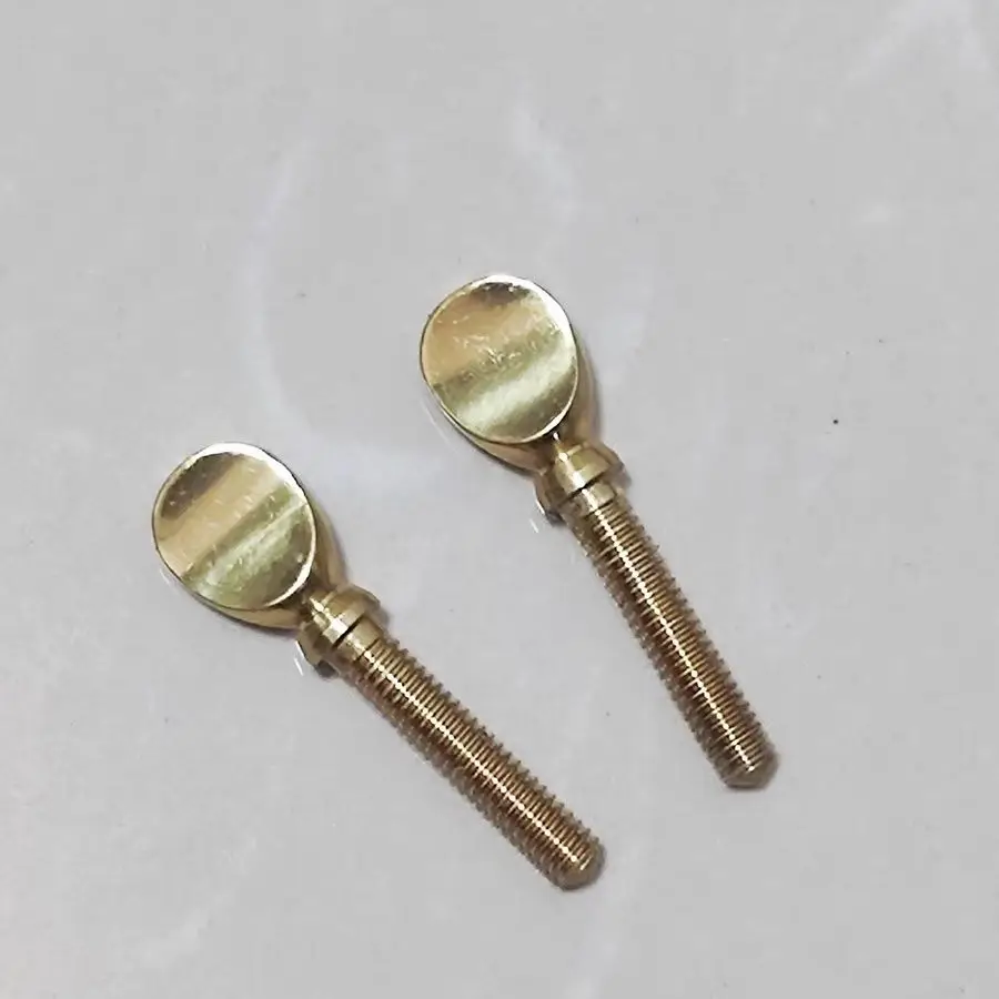 

10pcs Extended clip pure copper screw