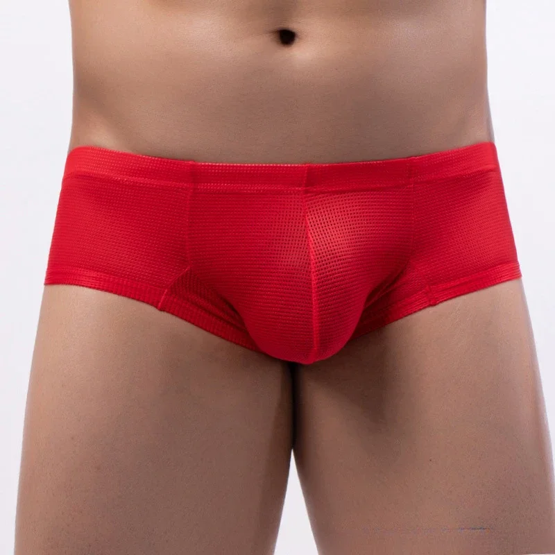 Calzoncillos sexys para hombre, bragas de malla de cintura baja, bolsa convexa en U, lencería transpirable, ropa interior transparente