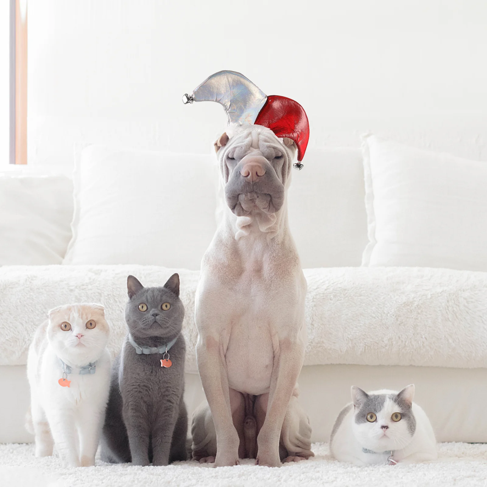 

Halloween Clown Hat Color-Blocked Party Cosplay Pet Hat Breathable Comfortable Costume Accessory Halloween Clown Hats