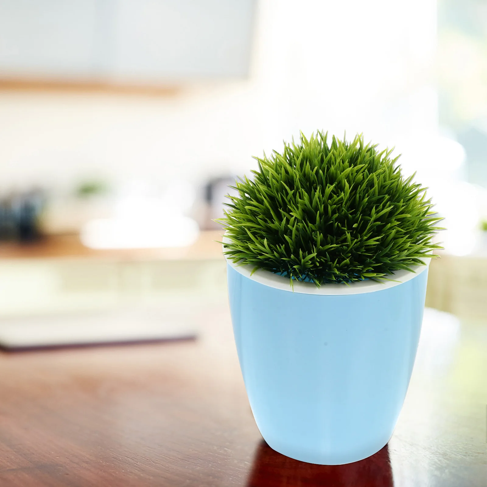 

5Pcs Plastic Hanging Planters Wall-Mounted Self-Absorbent Flowerpots Creative Design for Home Garden Office Windowsill