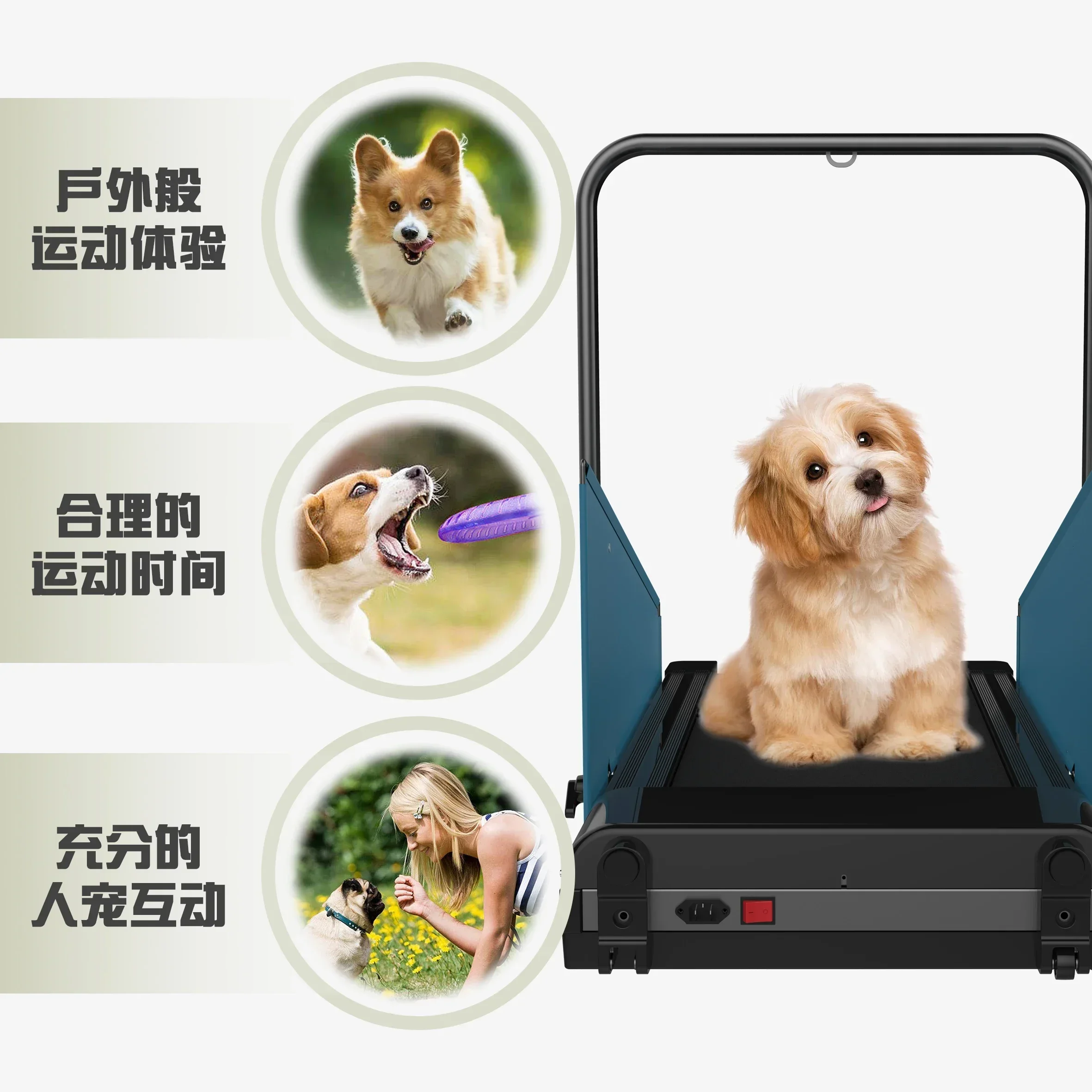 

2024 New Pet Dog Training Treadmill Suitable For Medium And Small Large Dogs Small/Medium-Sized Dogs Indoor Dog Treadmill