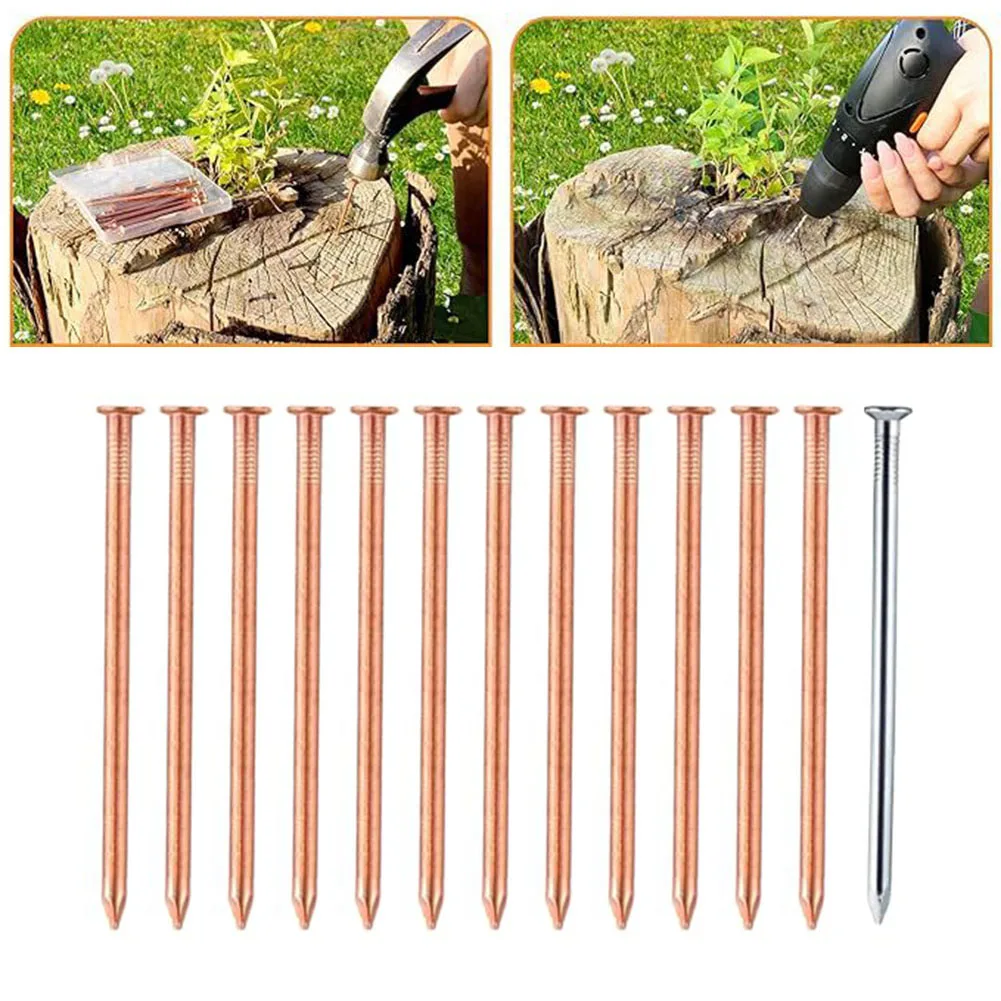 4 Inch Copper Nails For Tree Stump Removal Killing Roots With Steel Nail Drilling Aid Landscaping Hardware Garden Tools