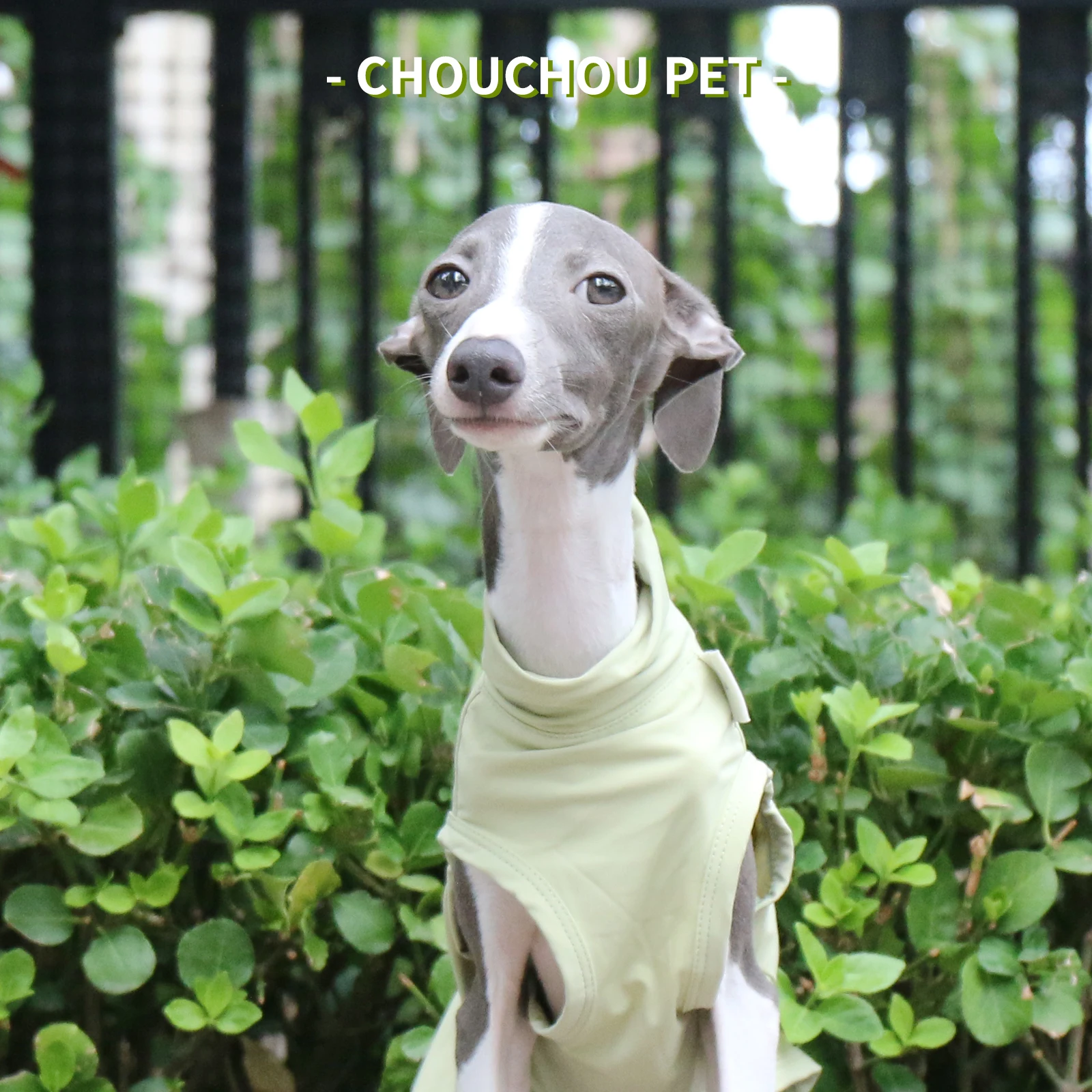 Green summer sun protection ice sense Italian Greyhound Whippet outdoor vest suitable for small and medium dogs dog clothes