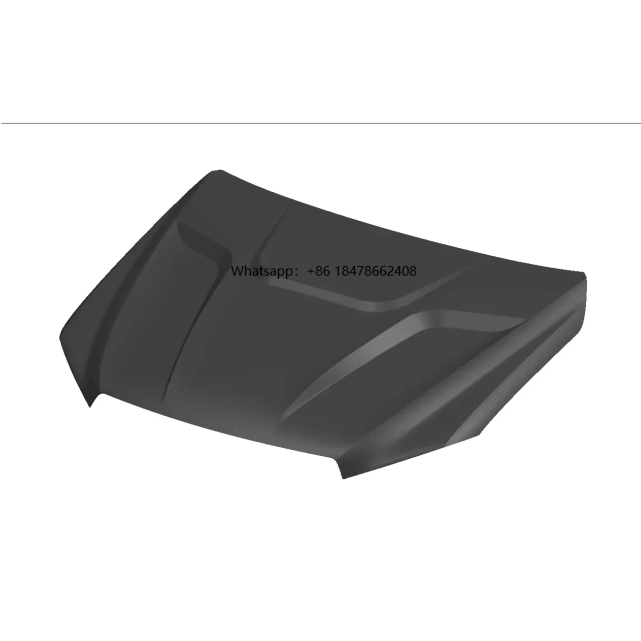 D-MAX Electrophoresis Process Engine Hood