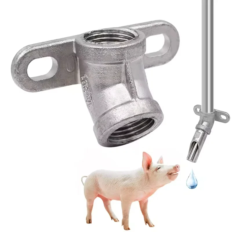 

Stainless Steel Elbows 45 /60/90 Degree Drinker Drinking Accessories Pig Farm Water Pipe Connector