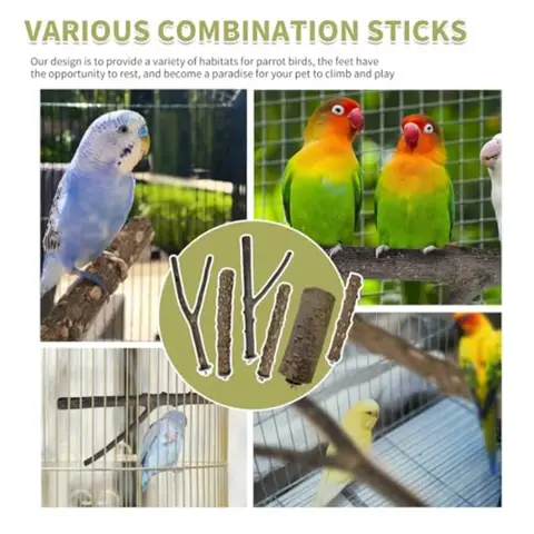 10 best sales पक्षियों के खिलौने - №9