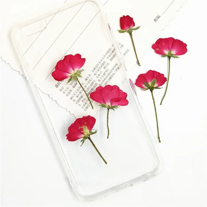 20-24pcs,Natural Pressed Roses with stem,Eternal Dried rose Flower for DIY Wedding invitations Craft Photo Bookmark Gift Cards