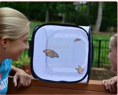 Butterfly Mantis Kweekbox Netto doos Opvouwbare opslag voor insectenverzameling Observatie Dragonfly, Mottenfokdoos