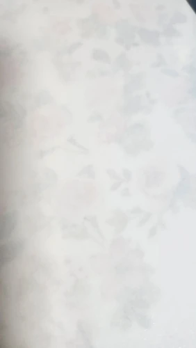 실물 포토 리뷰