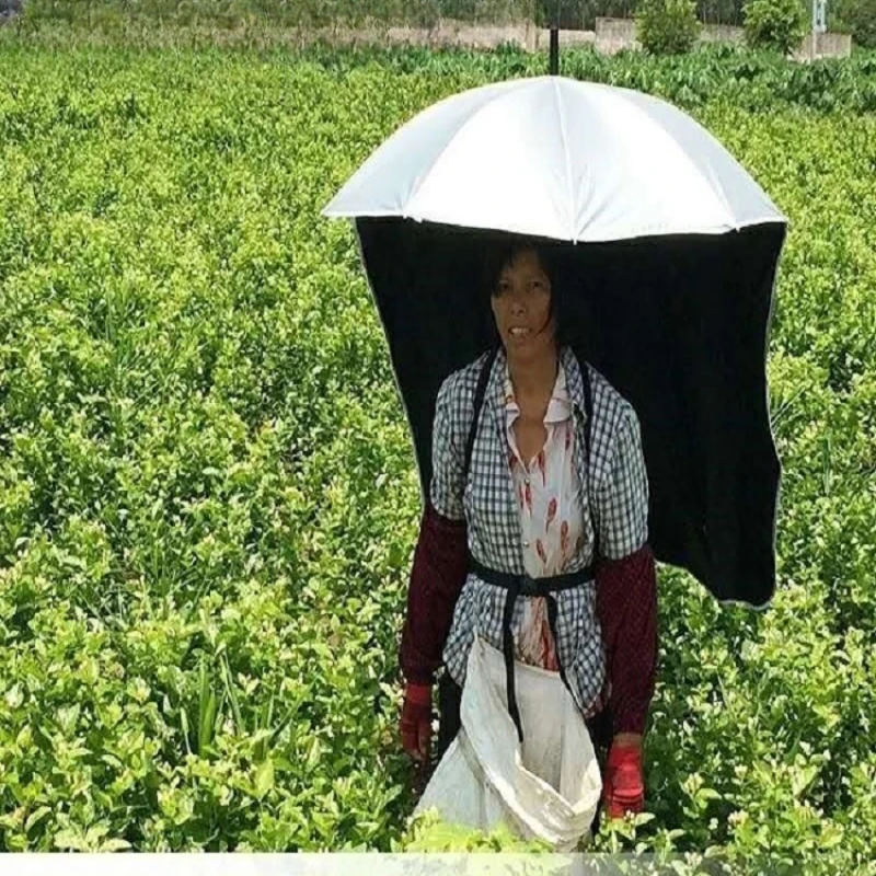 

Backable sunshade tea picking and fishing umbrella