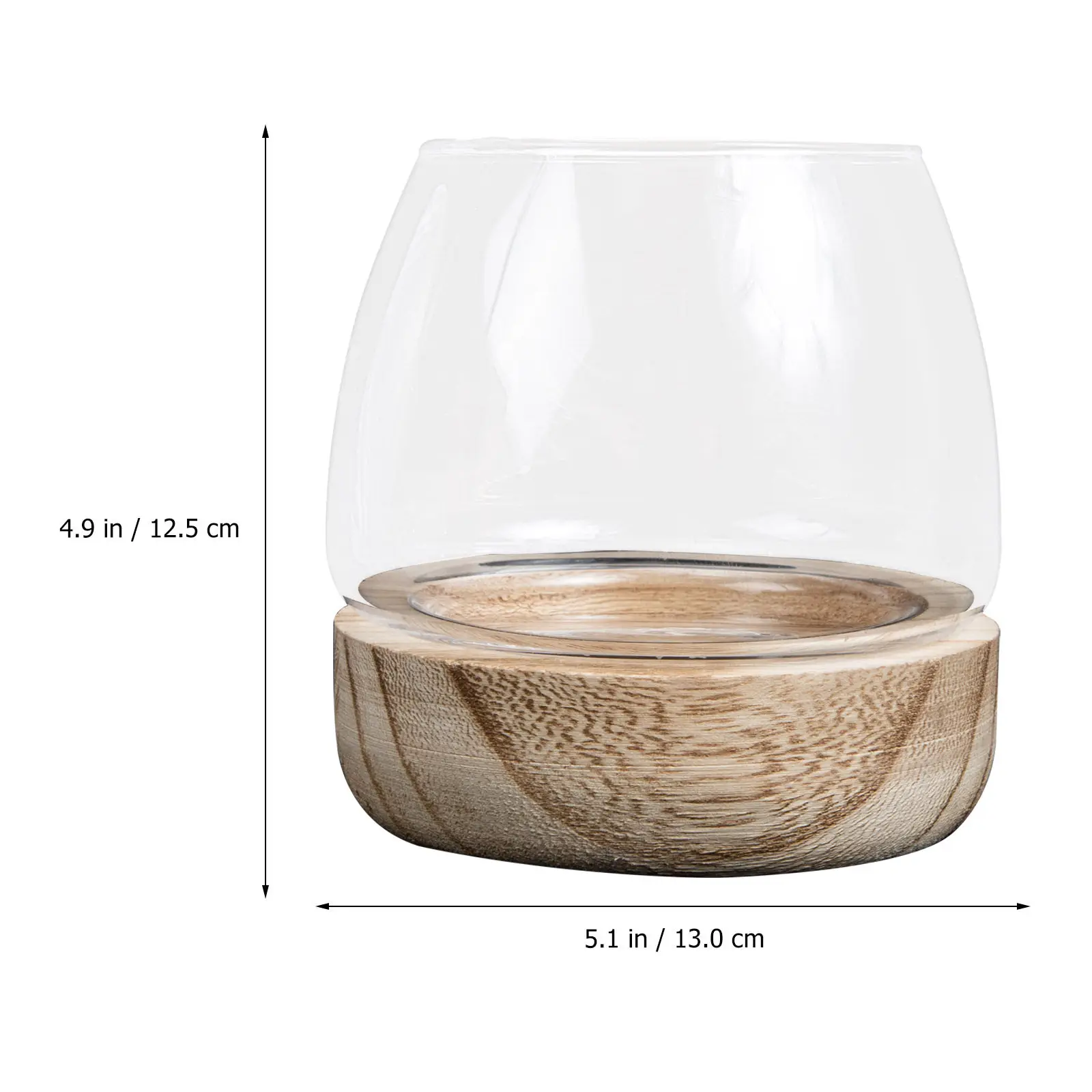 Premium Glass Micro Landscape Bottle Multi-Functional Decorative Vase for Home Hotel Dining Room Bedroom Bathroom Small Fish