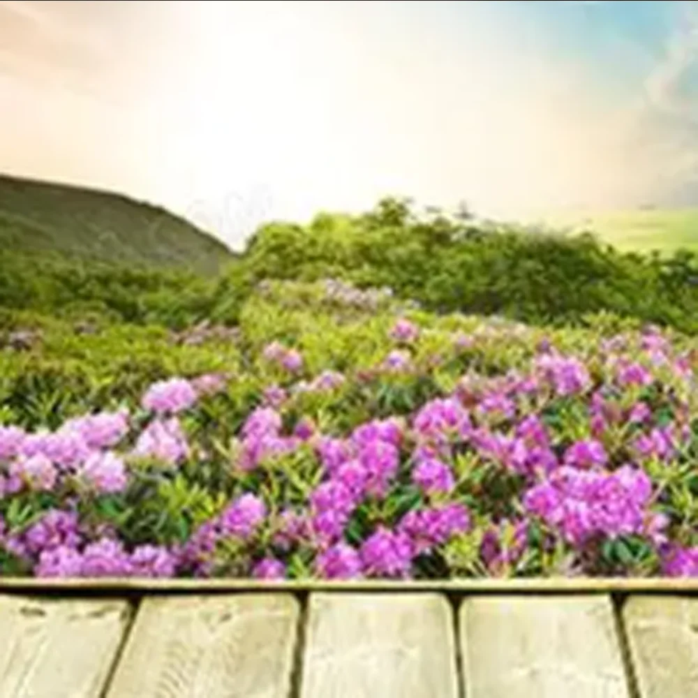 

RC FPV Drone Antenna - 4.9G/5.8G Dual Frequency & 5.8G Single Frequency, RHCP 3dBi Gain Omnidirectional 152mm with SMA/RPSMA