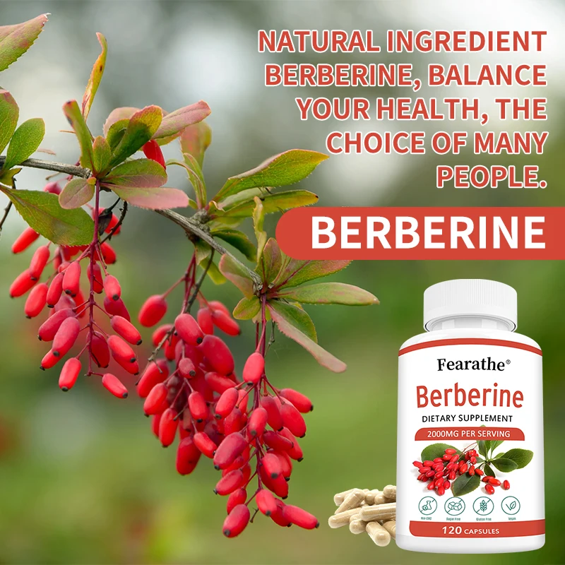 Berberine Capsules Healthy Immune System, Digestive Health, Cholesterol, Heart Health Supplement, Non-GMO, Vegetarian