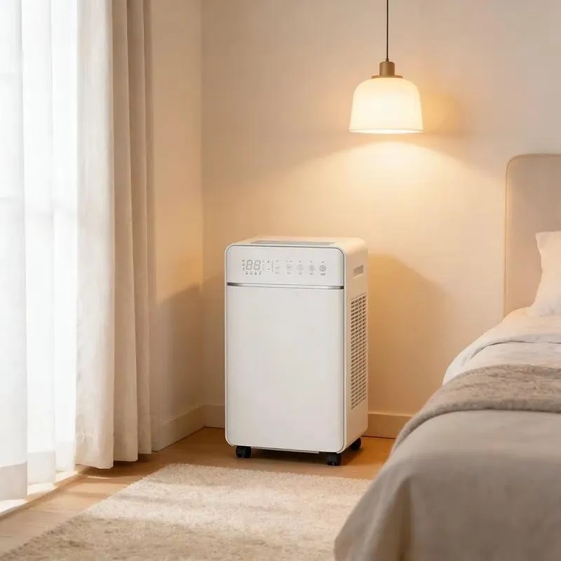 New Arrival Portable Air Purfication Home Office Multifunctional Air Dehumidifier Dry Clothes Machine
