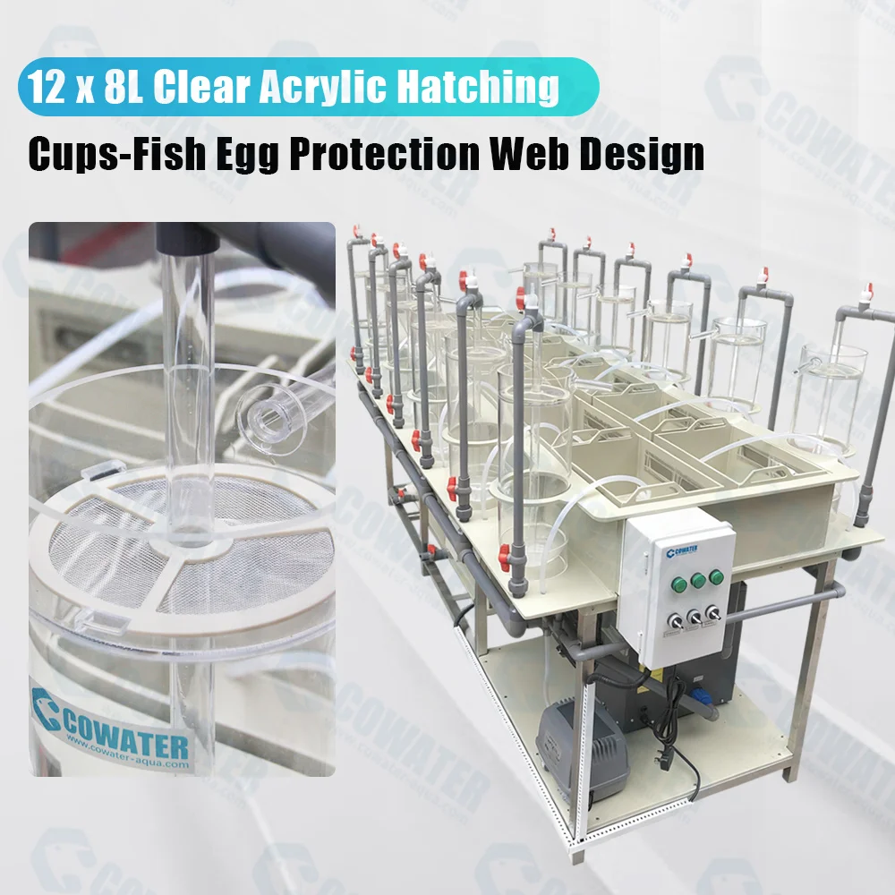 AIROW Durable Food Grade PP Egg Hatching Jars Incubator System Optimal Fry Small-Scale Fish Hatchery Operations Model CW-FH-05