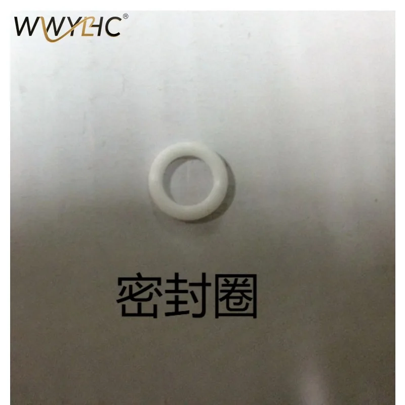 Suitable for Hanging Iron GC532 534 536 560 562 565 568 Drain Valve, Descaling Valve Accessories