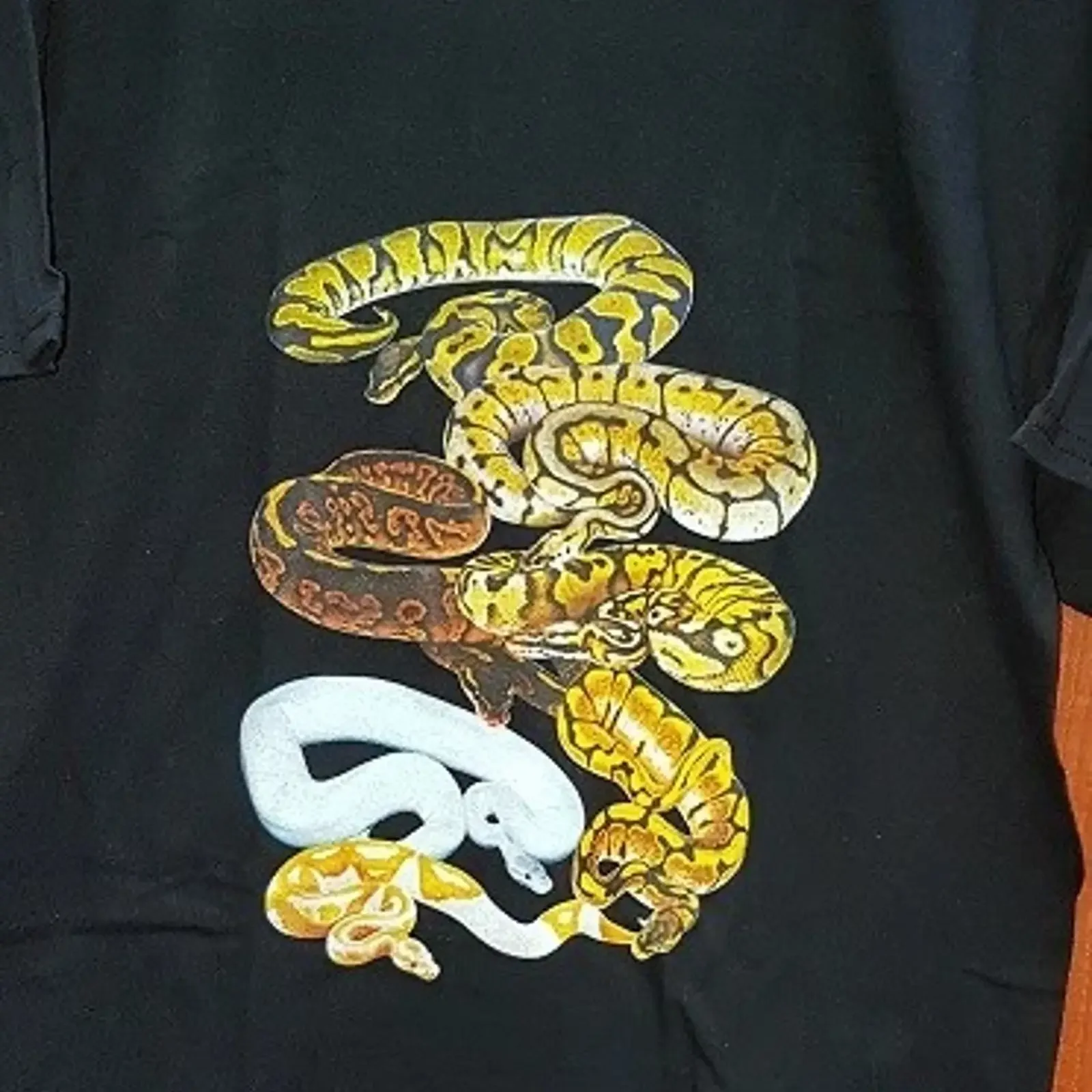 Royal Python Snake T-Shirt für Erwachsene, Größen Ball Reptil, KOSTENLOSER VERSAND, Vintage-Waschung, bequemes Oberteil für den Alltag