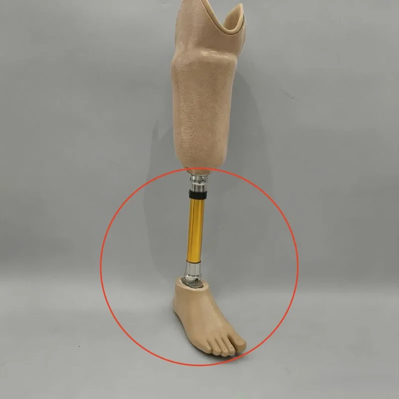 

A set lightweight prosthetic kit suitable for amputations below the knee (excluding the upper cavity)，Prosthetic foot boards