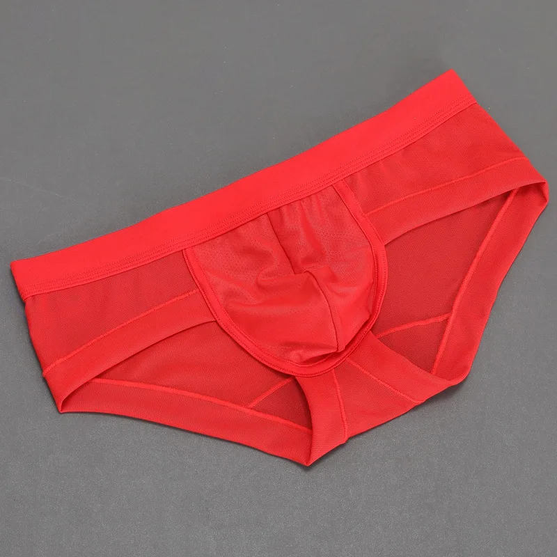 Men's U Convex Pouch Panties for Young Sexy Low Waist Fun Quick Drying Ultra Thin Summer Youth Mesh Fully Transparent Briefs New