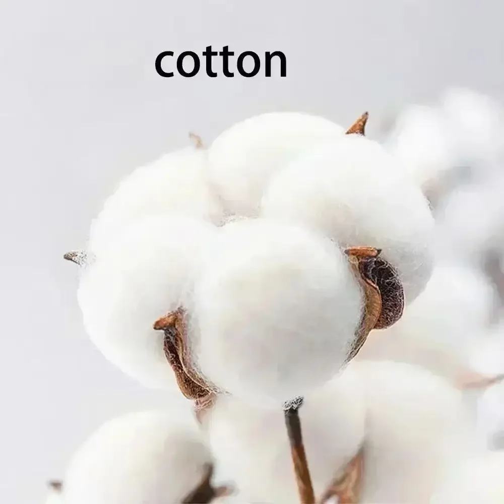 New Kitten Printing American High Street Small Loose and Comfortable Leisure Cotton Short Sleeve T-shirt for Men and Women