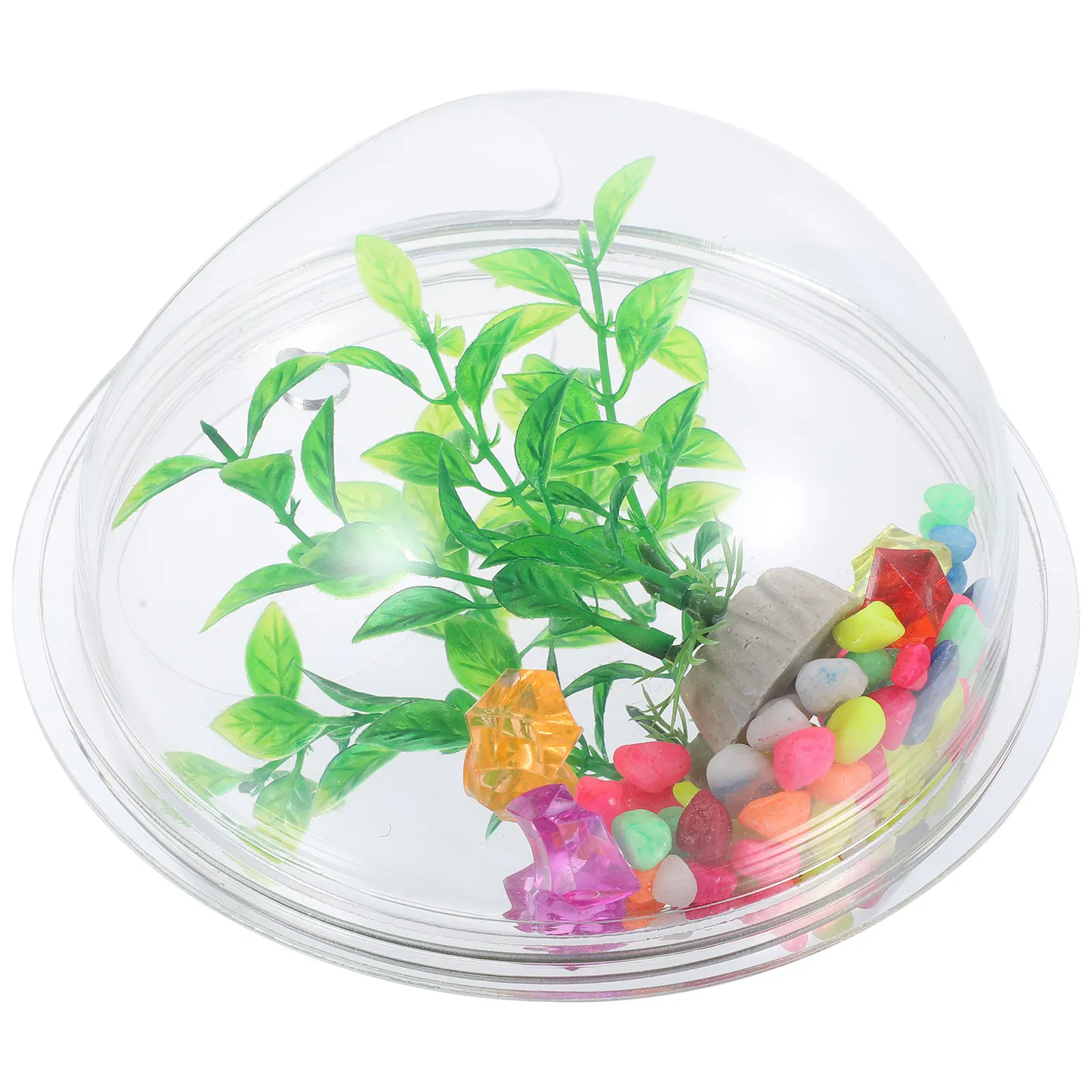 

Acrylic Decorative Wall-Mounted Vase Transparent Hydroponic Fish Tank Flower Planter for Indoor Home Wall Fish Tank